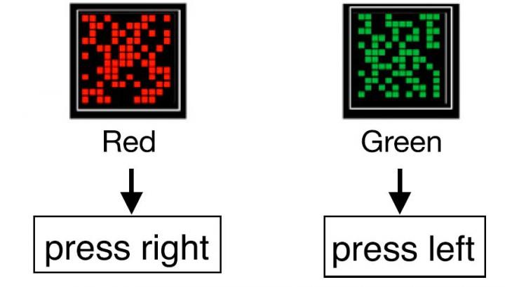 attention test.jpg